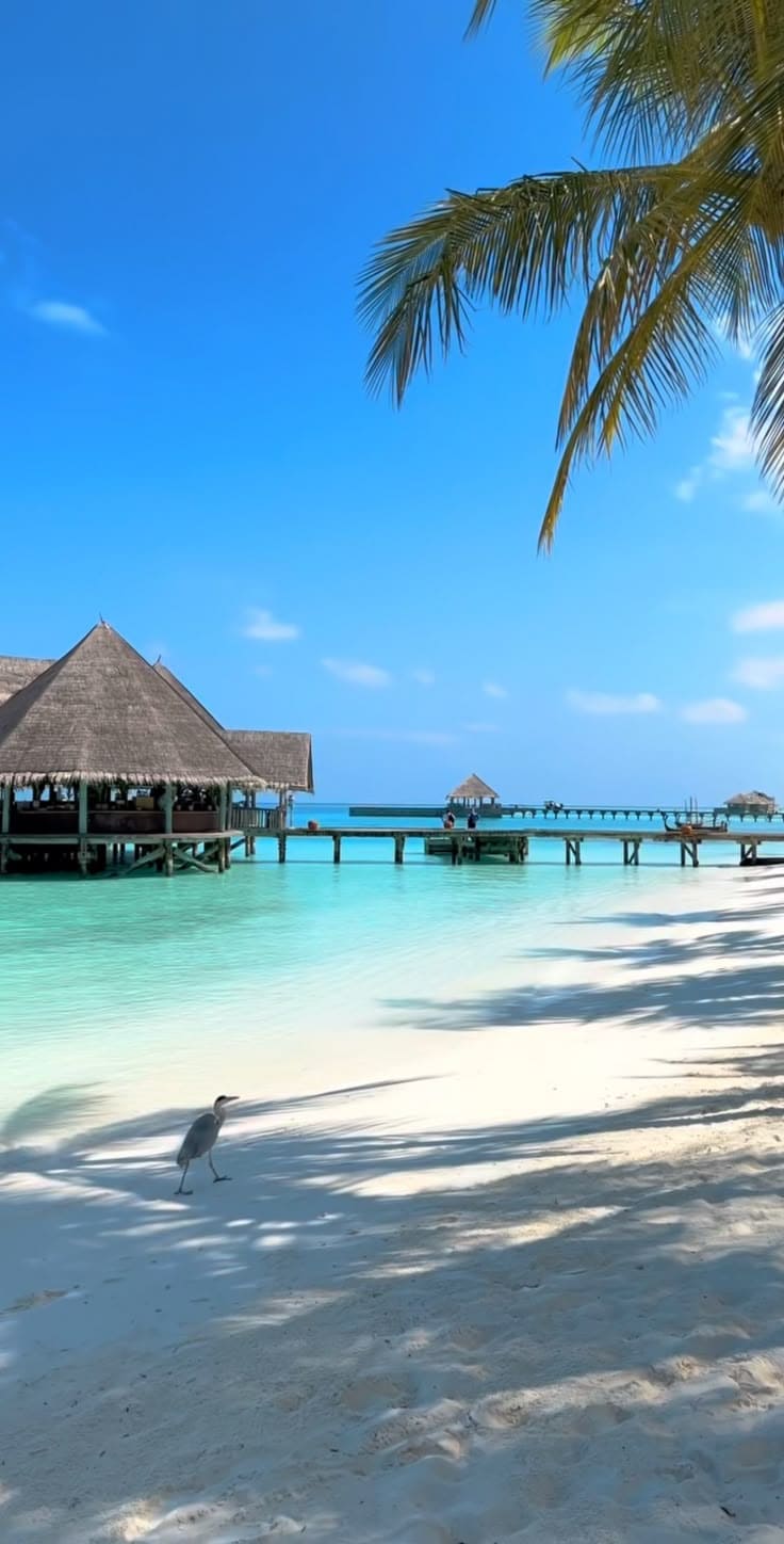 Gợi Ý 5 Tư Thế Chụp Ảnh Đi Biển Cực Chill Bắt Trọn Nắng Vàng 16 Địa điểm chụp ảnh đi biển đẹp tại Việt Nam